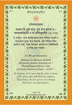 Shri Gita Tarot Cards (Set of 61 cards)