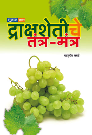 Drakshashetiche Tantr - Mantr