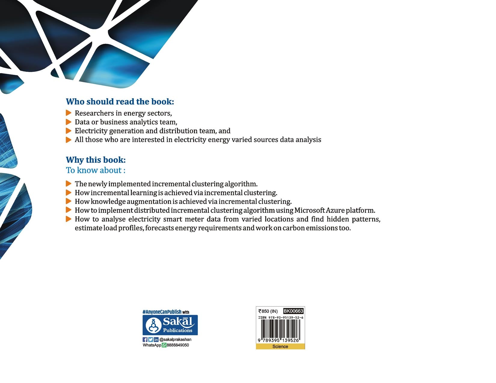 Incremental Learning of Electricity Smart Meter Data