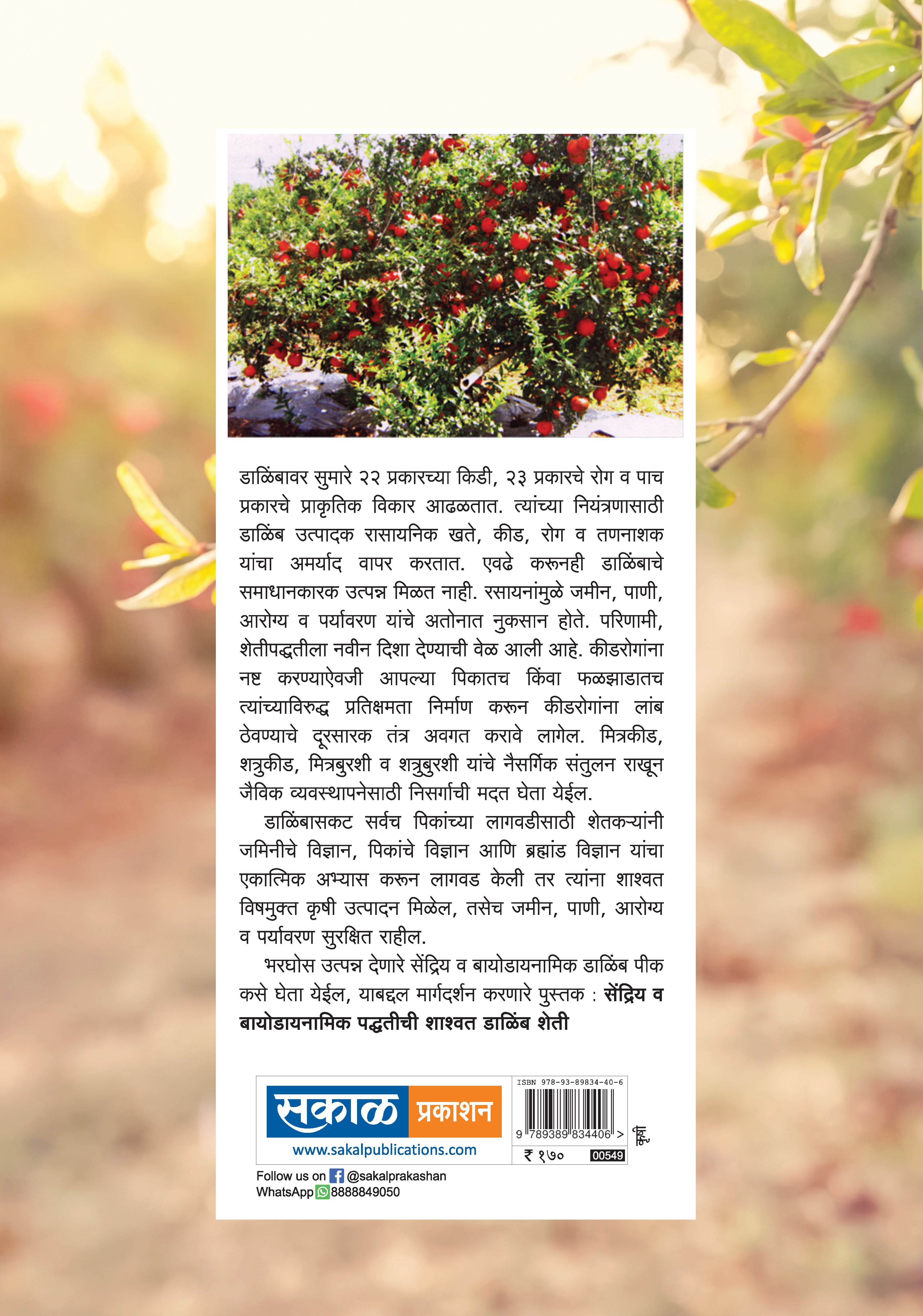 Shashwat Dalimb Sheti