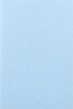 Words and Things in the Ṛgveda