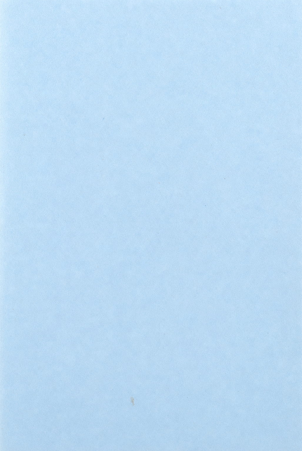 Words and Things in the Ṛgveda
