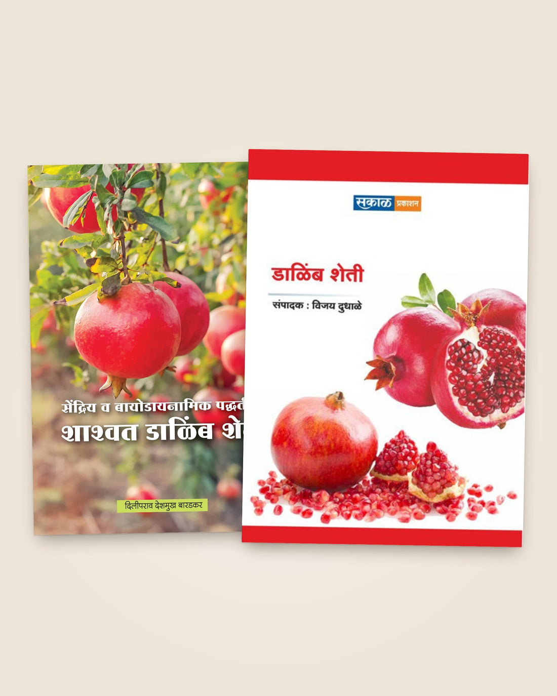 शाश्वत डाळिंब शेती, डाळिंब शेती